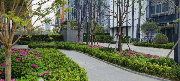 四季床王酒店(郑州高铁东站店)图片