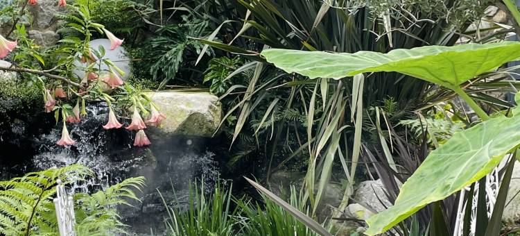 大理ANYUE·安悦艺宿(龙龛码头店)图片