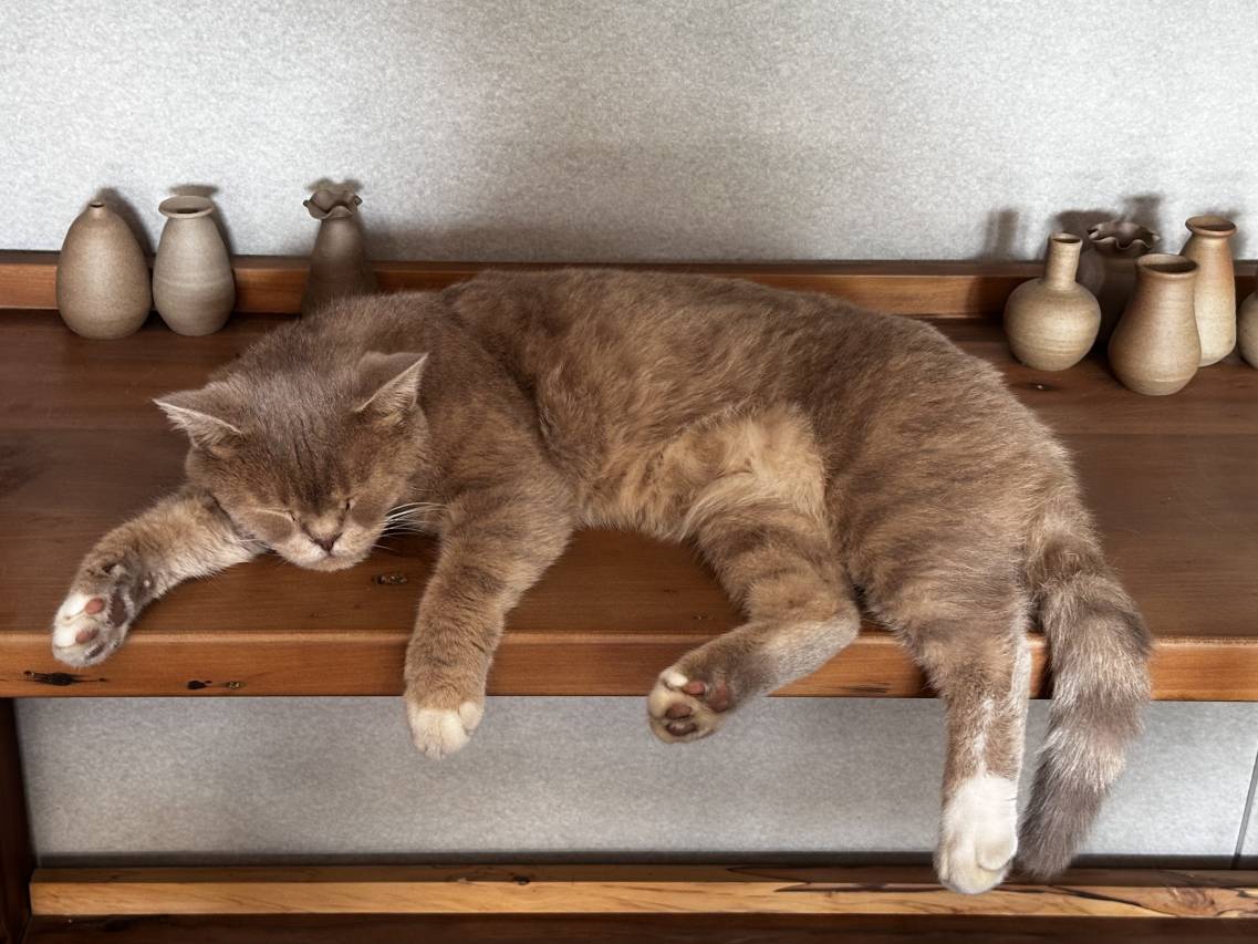 花筑奢·喜柿见·悦隐禾集·茶文化主题民宿图片