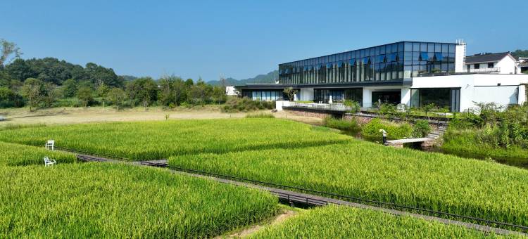 黄山休宁田居里艺术度假村Villa Hotel图片