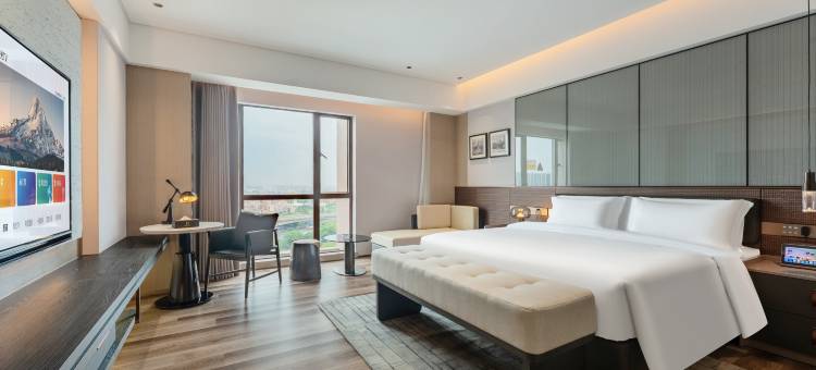 星展朗豪国际酒店(佛山南海新都会大沥步行街店)图片