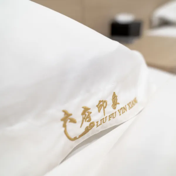 六府•印象民宿（长治一中店）