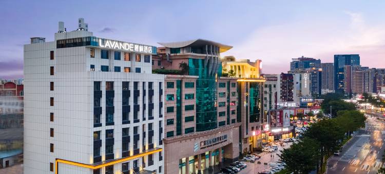 麗枫酒店(东莞南城国贸步行街店)图片