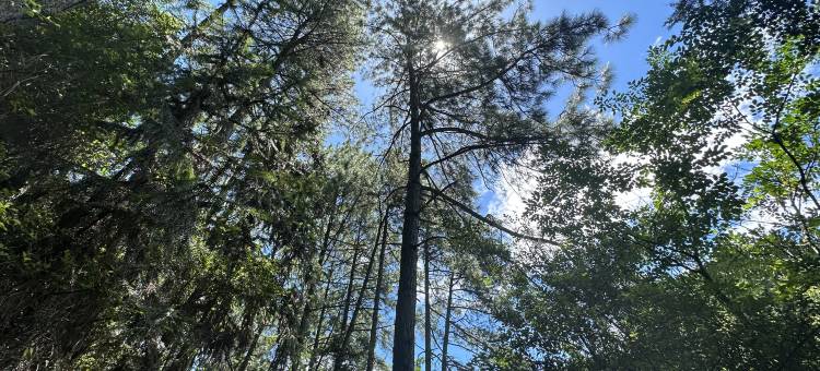 西山湖度假酒店(景德镇中国陶瓷博物馆店)图片