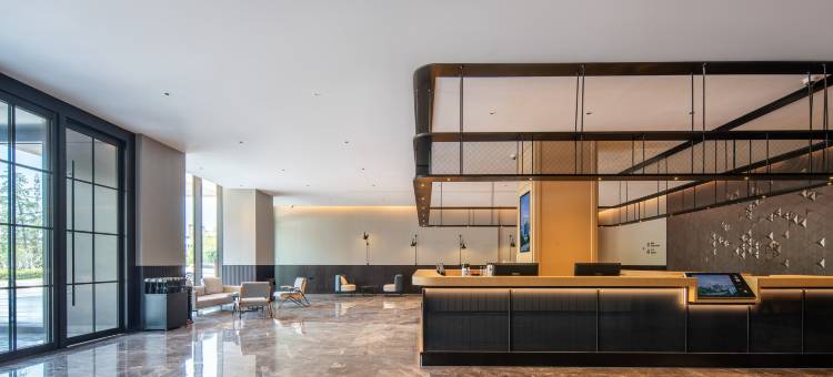 合肥高新中安创谷同派酒店图片