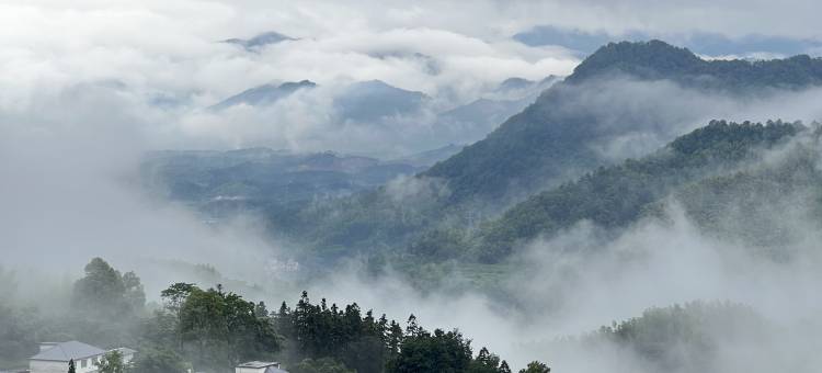村头芳 · 正好小筑图片