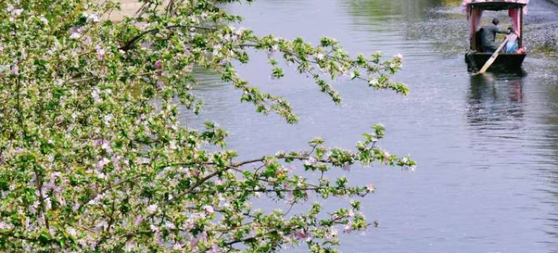 北京金隅喜来登大酒店图片