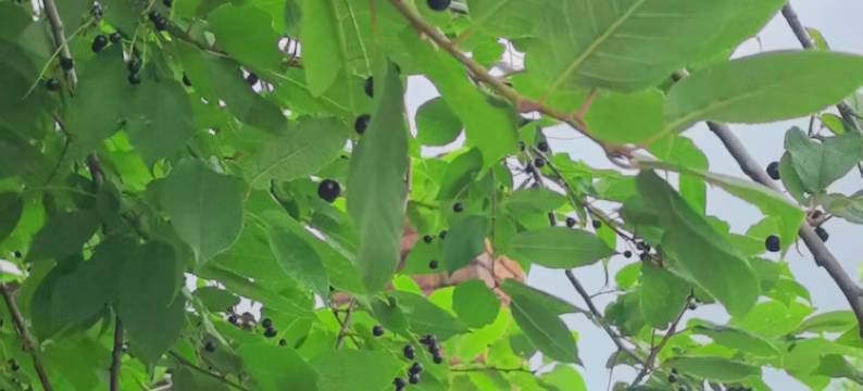 额尔古纳聚缘大酒店图片