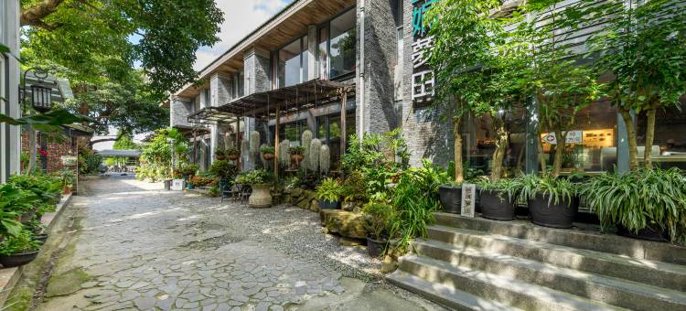 苗栗喆娟梦田图片