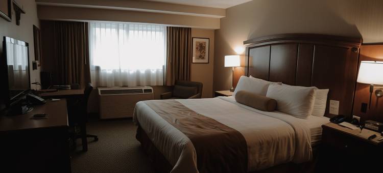 Airport Hotel Classic Park图片