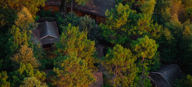 清远金子山森林雪谷壮瑶度假村图片