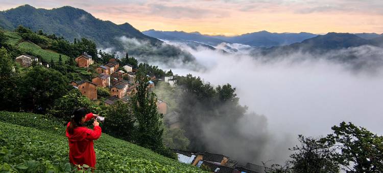 歙县凤凰山庄图片