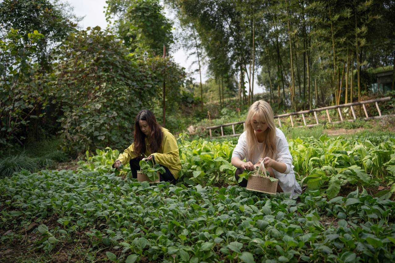 携程度假农庄(安吉君德毓秀联营店)图片