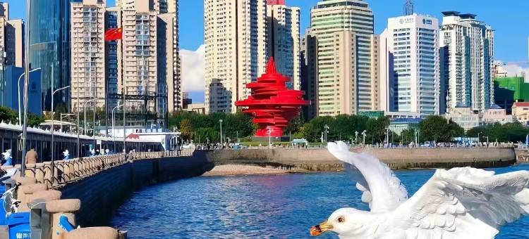 轻住酒店(青岛五四广场闽江路店)图片