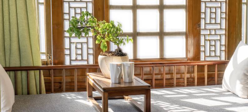 驿厢情•Slow Down|纳西印象客栈(丽江古城店)图片