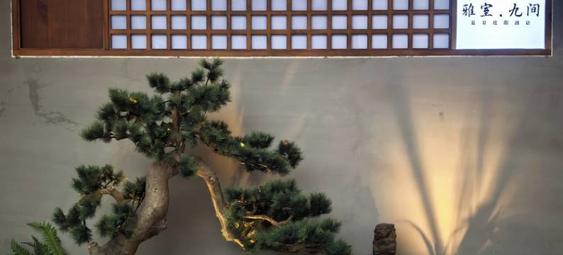 雅室·九间温泉度假酒店图片