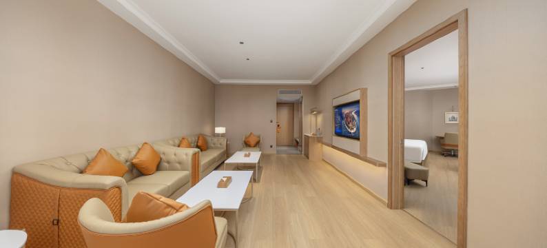 维也纳酒店(石家庄无极店)图片