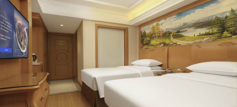 维也纳酒店(耒阳店)图片