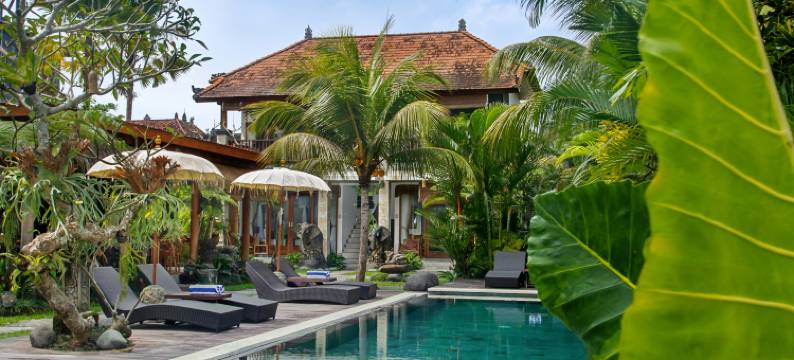 The Runik by GenuineHost图片