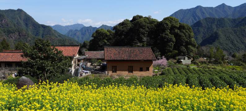 丽水遂昌乐领旗山侠隐图片
