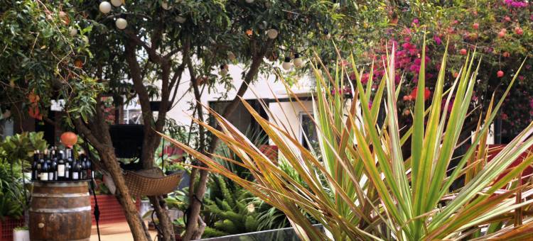 圈圈里·花园度假MUSICAT美宿(较场尾大鹏所城店)图片