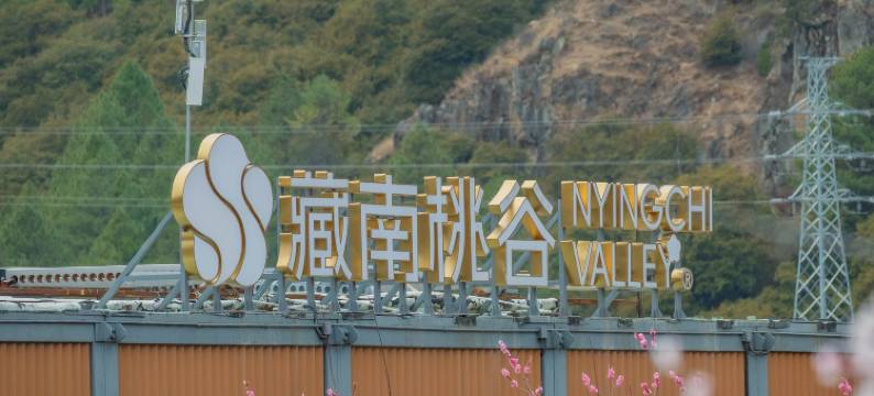 林芝藏南桃谷酒店图片