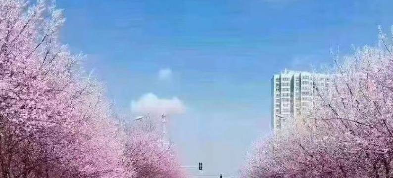 柏纳酒店(伊犁哈萨克自治州博物馆店)图片