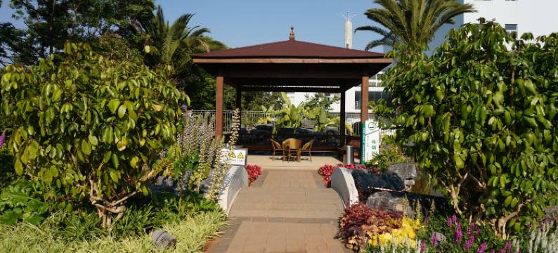 昆明望湖公寓(滇池海埂大坝店)图片