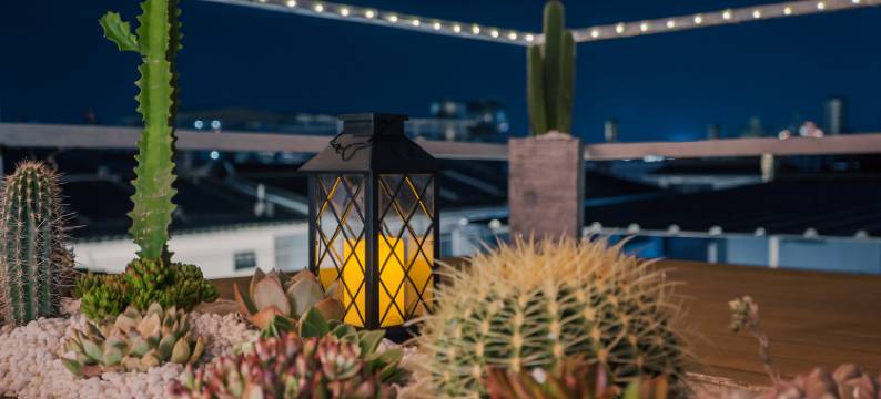 素色·逸境Halcyora轻奢设计师美宿(大理古城玉洱路店)图片