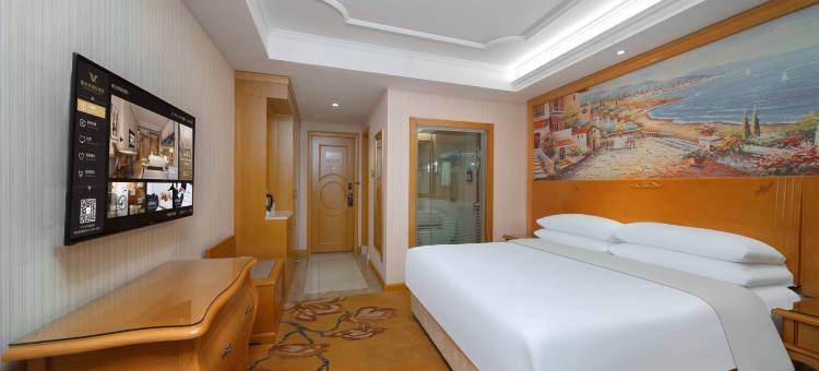 维也纳国际酒店(广州白云机场北站店)图片