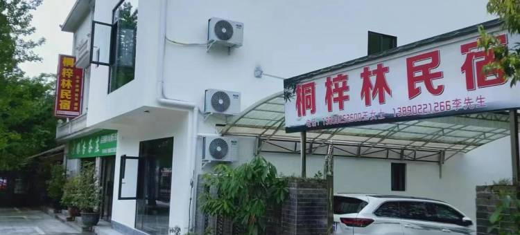 绵竹桐梓林民宿图片