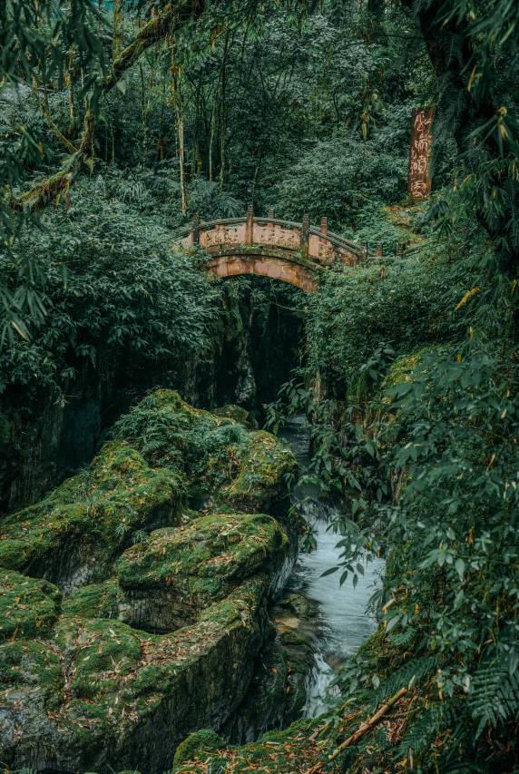 携程度假农庄(峨眉山一溪清音联营店)图片