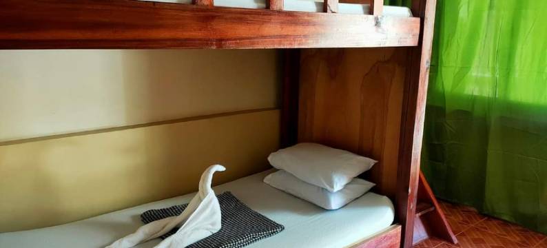 Tommy's Transient House图片