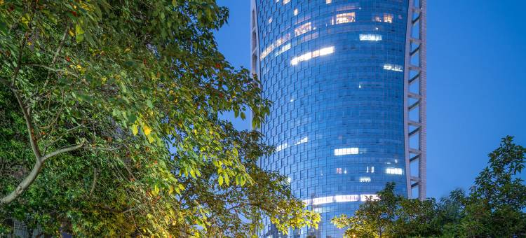 成都东大明宇豪雅饭店(春熙路太古里店)图片