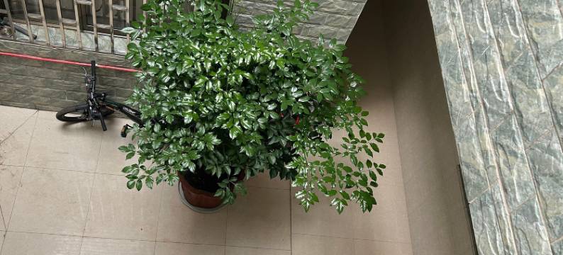 红映塘民宿(昆明长水机场店)图片