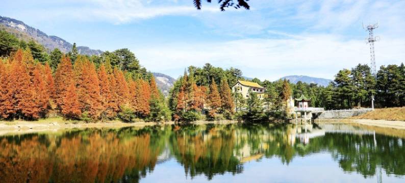 乌云山庄民宿(乌云山茶叶公园店)图片