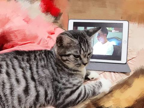 秦皇岛黄金海岸季澜熙海景酒店图片