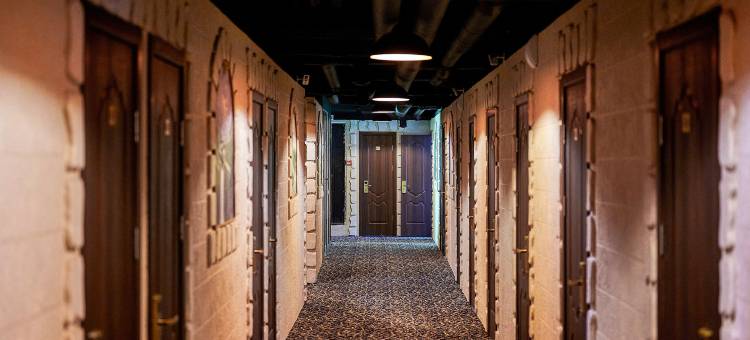 鲍曼站冬季酒店(Winterfell Baumanskaya)图片