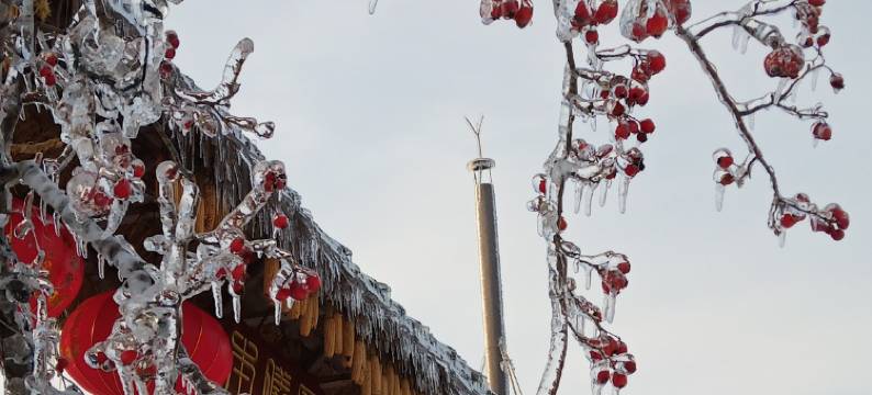 珍宏客栈(雾凇岛景区店)图片