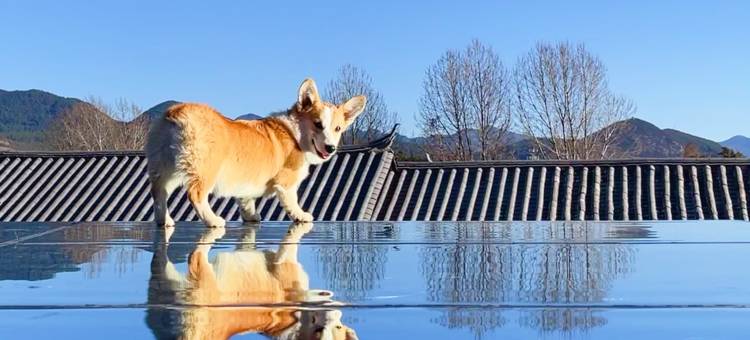 花筑·阳光三地丨Cloud天空之境·落日晚霞观景美宿(束河古镇店)图片
