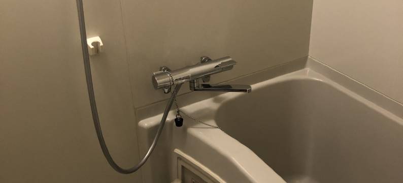 祖谷旅館葛屋(iyanoyado kazuraya)图片