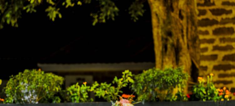 涠洲岛艾尚日落海景酒店(石螺口海滩景区店)图片