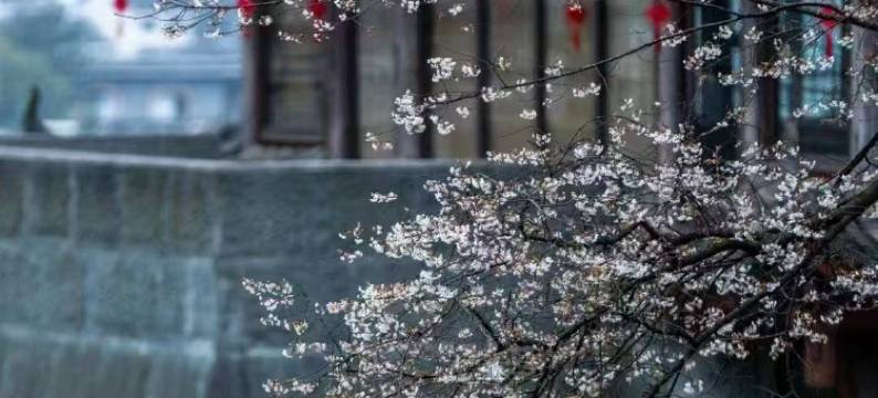 邛崃源窝子酒庄图片