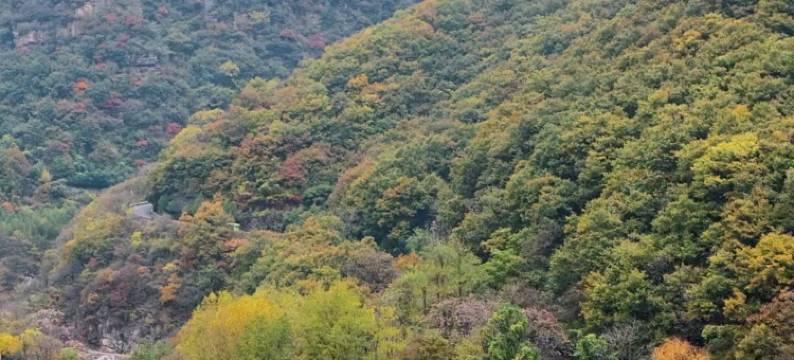 最八里度假民宿(八里沟店)图片
