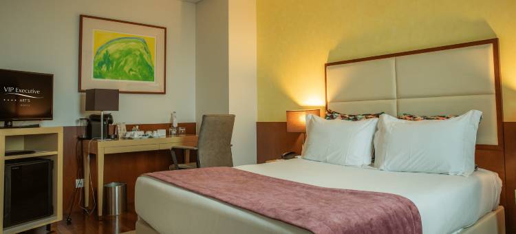 VIP行政艺术酒店(VIP Executive Arts Hotel)图片