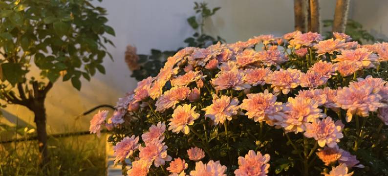 不远汴梁民宿(开封万岁山大宋武侠城店)图片