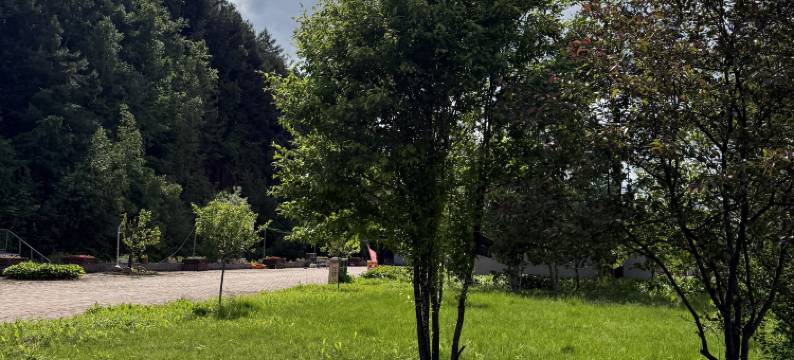 桃之源民宿图片