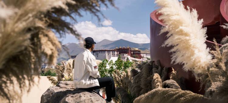 悦慕山·自在空境观景酒店(布达拉宫店)图片