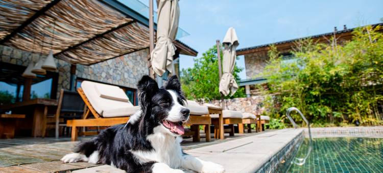 南京裸心岭度假村图片