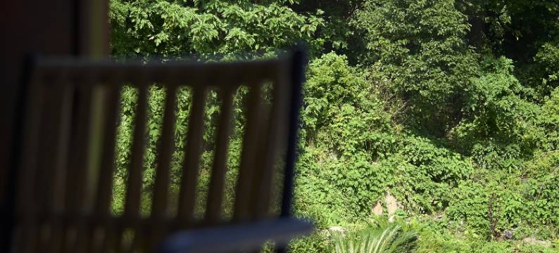 凡是屿见·山景野奢设计师Villa(普陀山机场蜈蚣峙码头店)图片